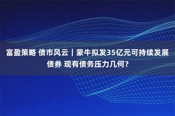富盈策略 债市风云｜蒙牛拟发35亿元可持续发展债券 现有债务压力几何？