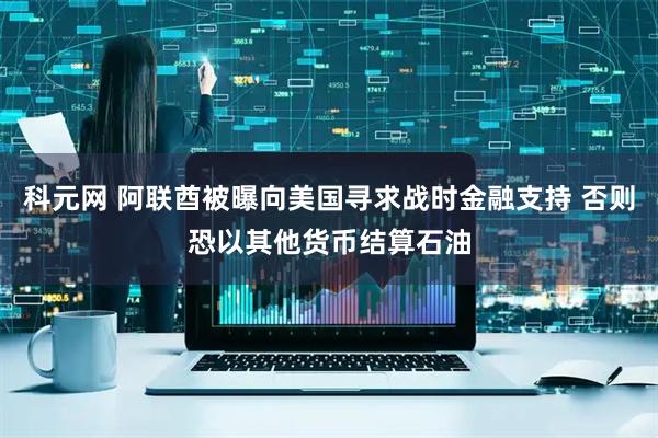 科元网 阿联酋被曝向美国寻求战时金融支持 否则恐以其他货币结算石油